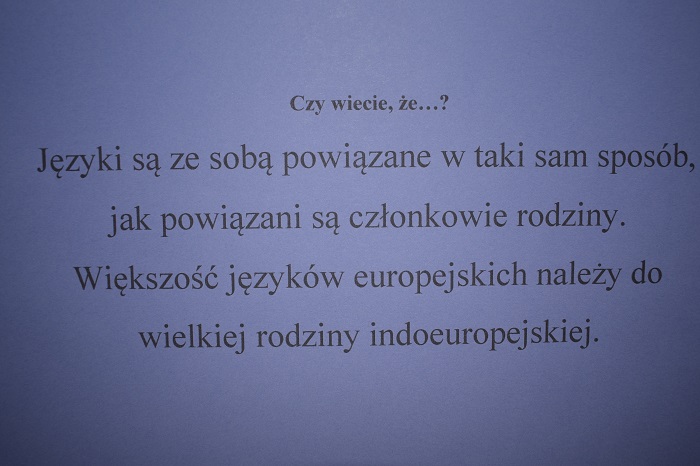 SP5_0385.JPG