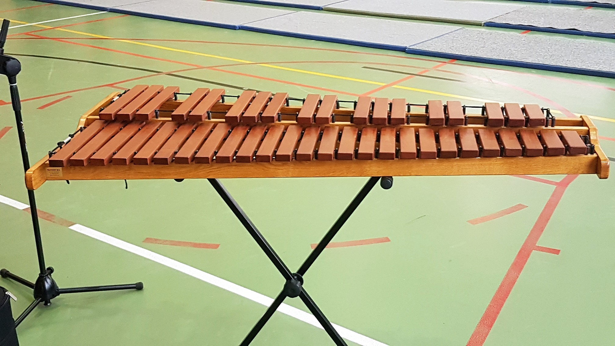 Szkoła podstawowa nr 5 w swieciu - koncert (4).jpg