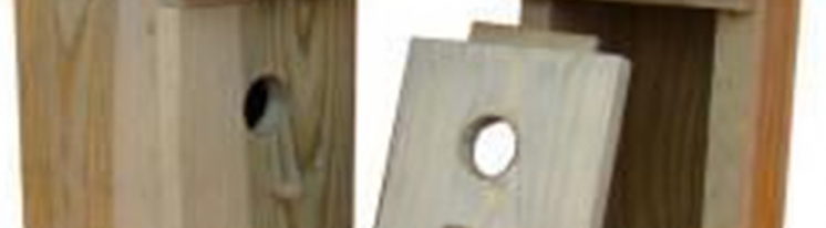 II a opiekunem budek lęgowych