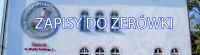 Harmonogram rekrutacji do oddziału przedszkolnego przy Szkole Podstawowej nr 5 w Świeciu – rok szk. 2021/22