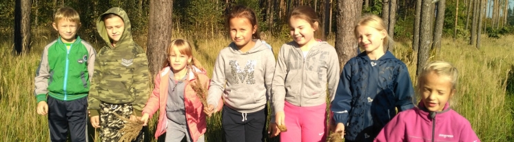 3B- Wycieczka do lasu