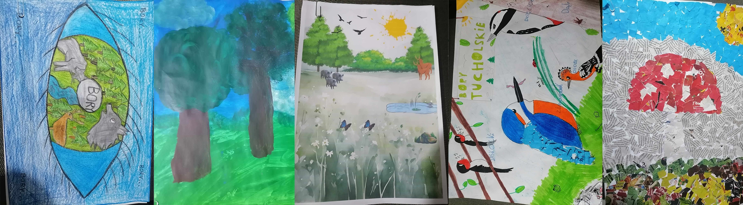 OGÓLNOPOLSKI KONKURS PLASTYCZNY BORY TUCHOLSKIE