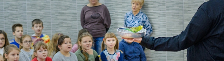 Pokaz magii i baniek mydlanych