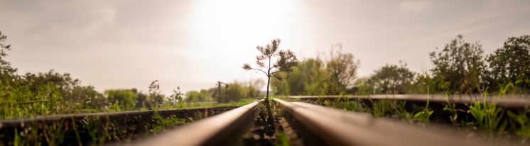 MOST- PIERWSZY WIOSENNY PLENER